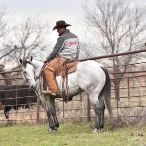 Meet your Posher, Colby